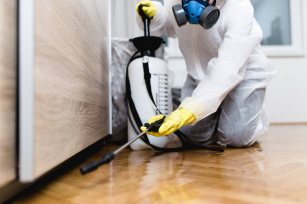 Best Best Pest Control Companies  in Lennox, SD