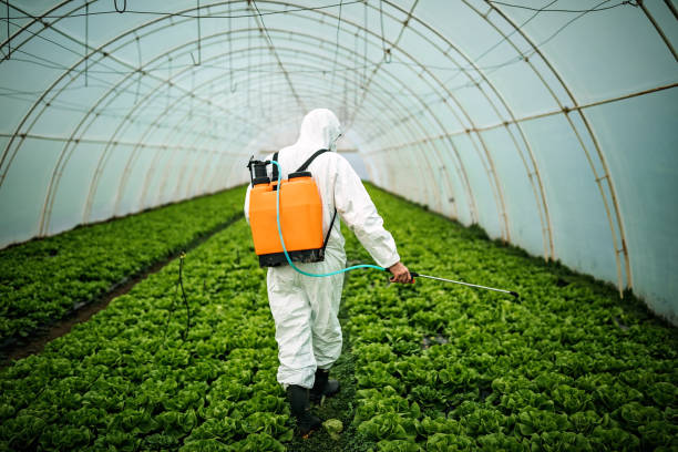Best Best Pest Control Companies  in Lennox, SD