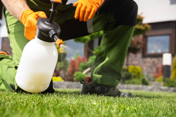 Flea Control Services in Lennox, SD