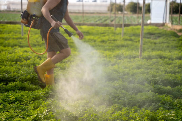 Best Affordable Pest Control Services  in Lennox, SD
