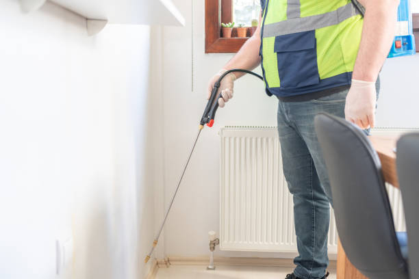 Wasp Removal Services in Lennox, SD