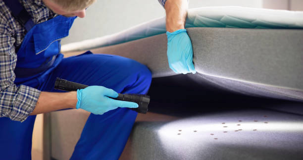 Best Commercial Pest Control Services  in Lennox, SD