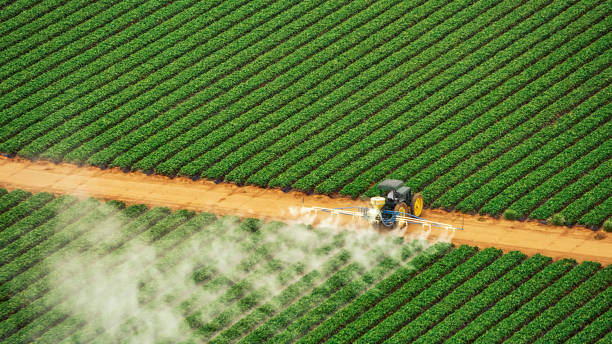 Best Best Pest Control Companies  in Lennox, SD