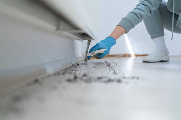 Best Pest Removal Services  in Lennox, SD