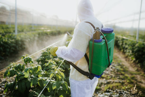 Best Pest Control for Homes  in Lennox, SD